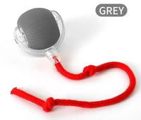 Speedy Tail Pet Toy Ball